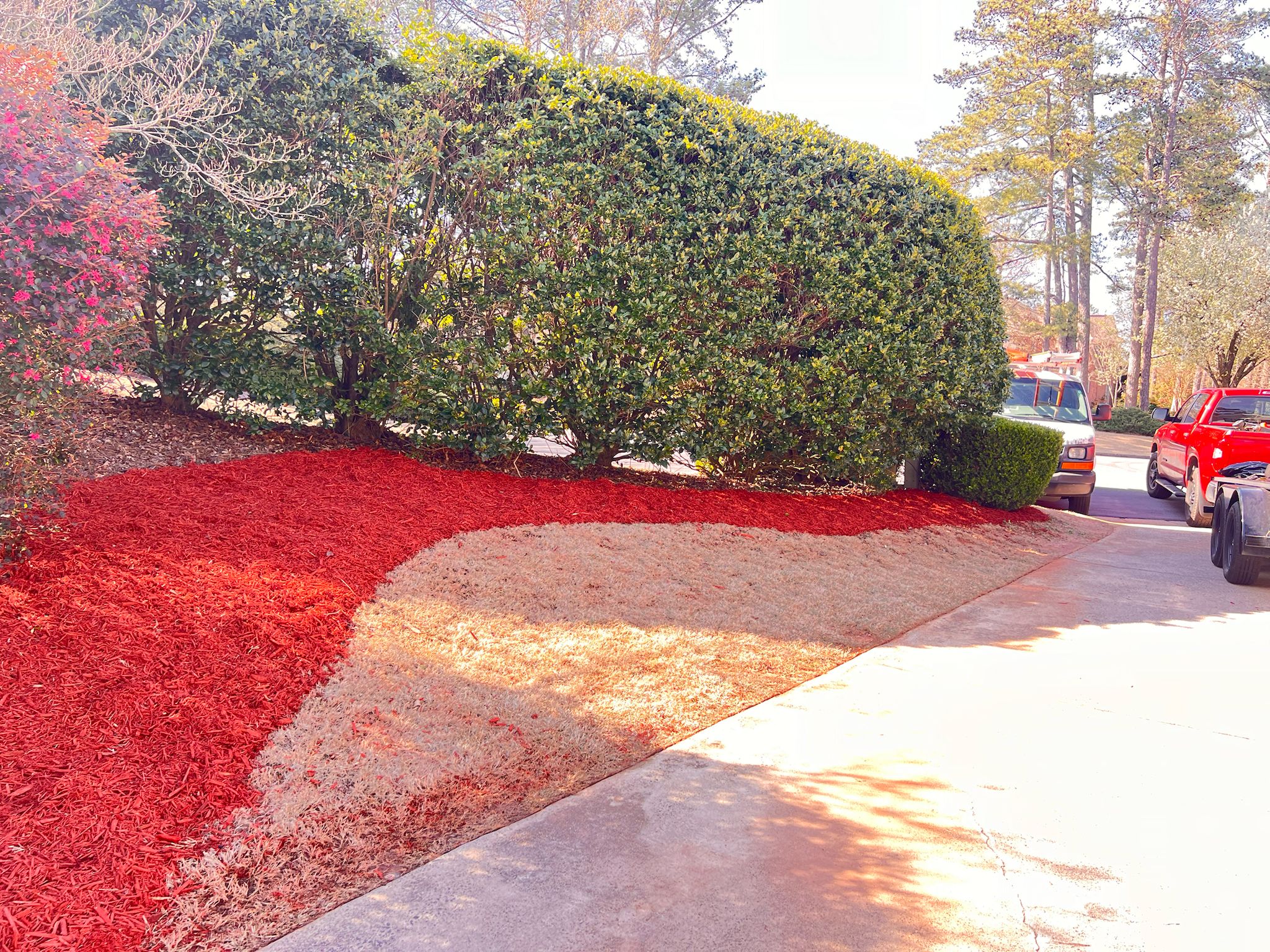 WhatsApp Image 2025-09-01 at 6.37.32 PM (6)